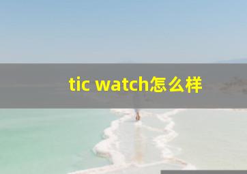 tic watch怎么样